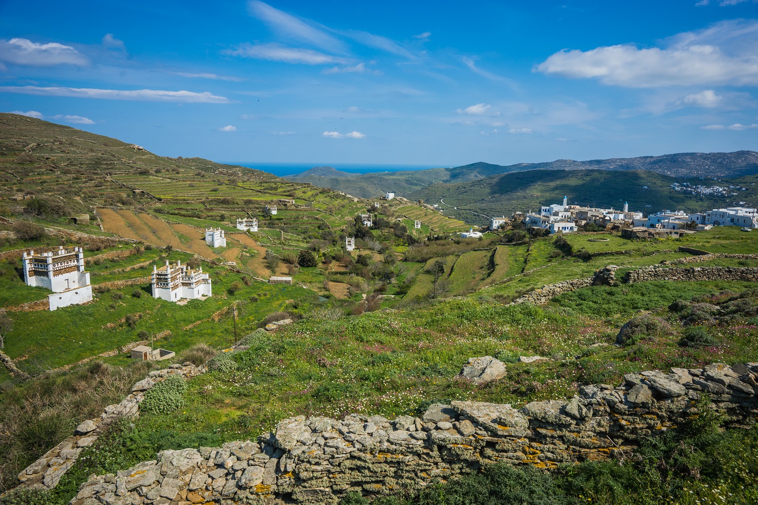 shutterstock_409218310