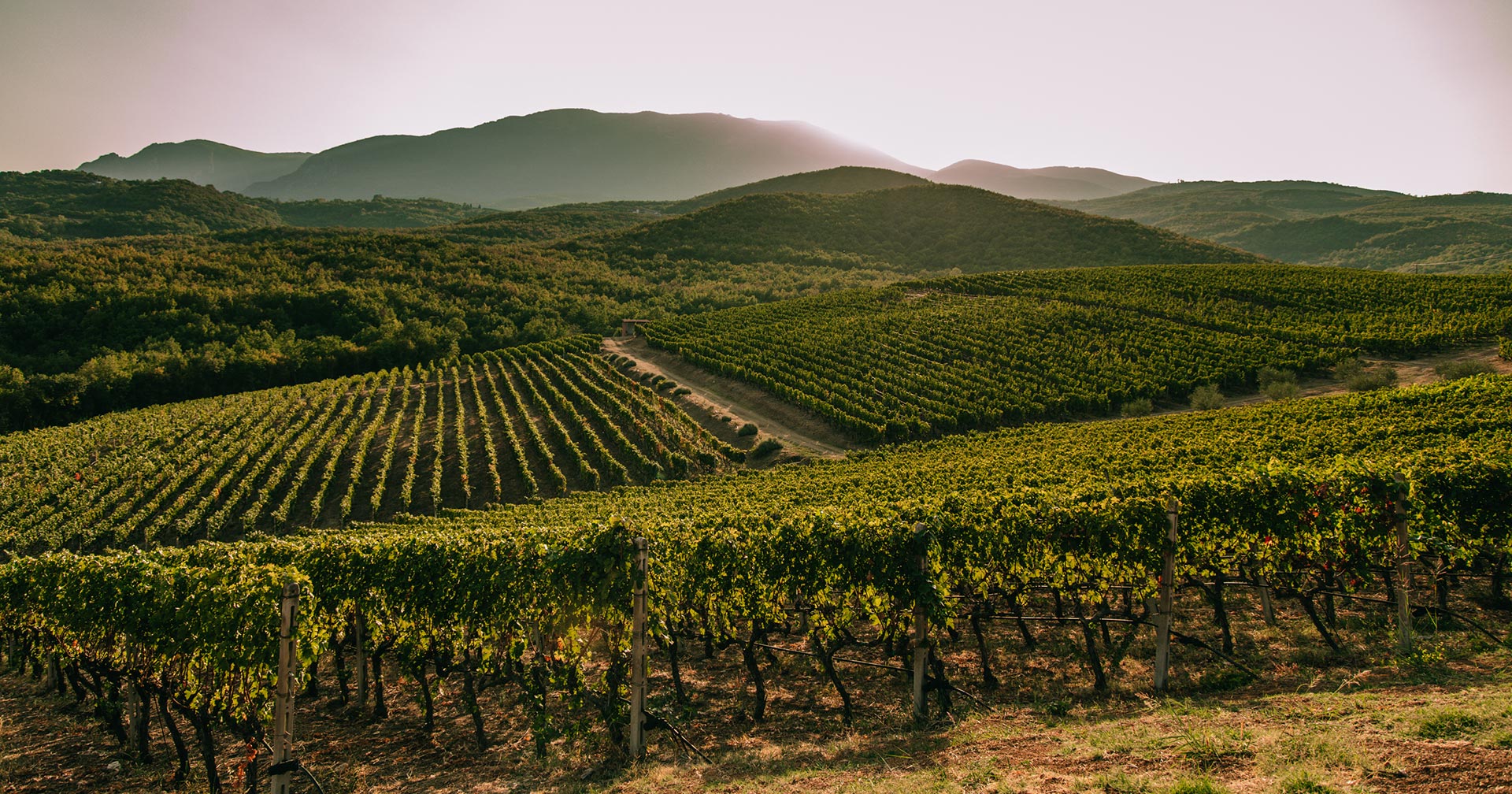 north-greece-wines