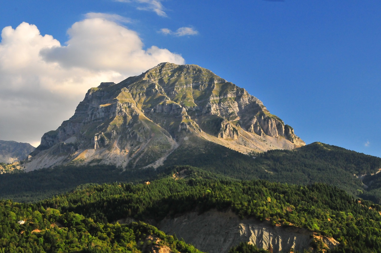 dsc_0128-copy-1